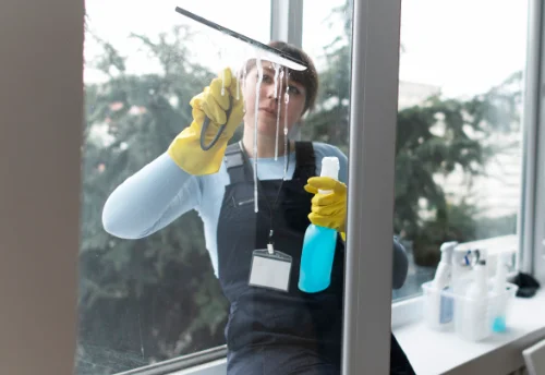 Nettoyage de vitres intérieures et extérieures à Camburat